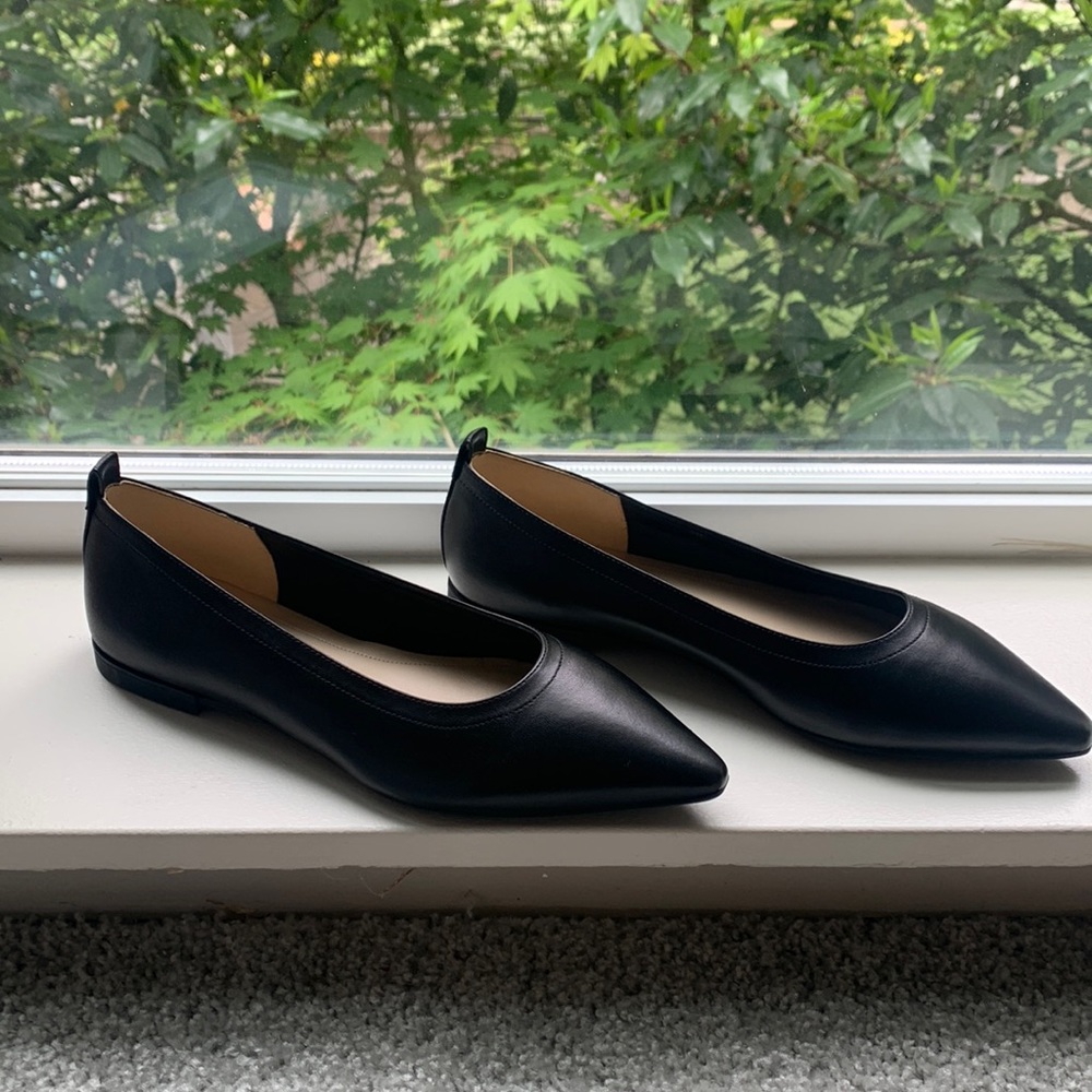 NWT. Everlane black pointy toe leather flats
